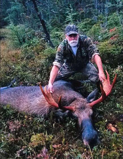 bull Moose