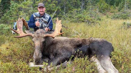 bull Moose