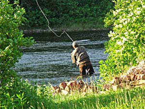 fly fishing for salmon
