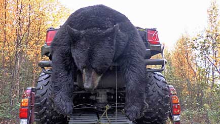 Newfoundland blacks