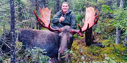 bull Moose