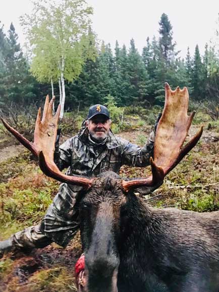 bull Moose