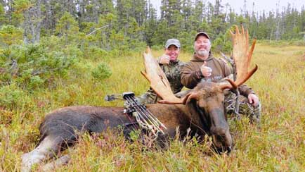 bull Moose