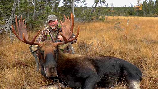 trophy Moose